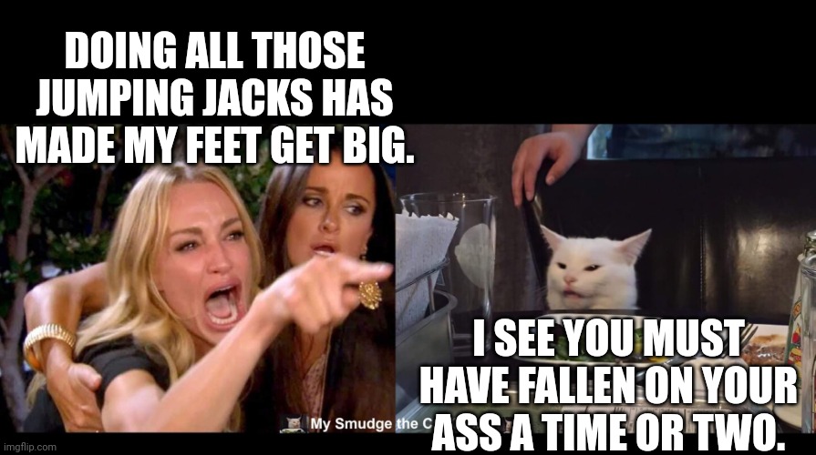 DOING ALL THOSE JUMPING JACKS HAS MADE MY FEET GET BIG. I SEE YOU MUST HAVE FALLEN ON YOUR ASS A TIME OR TWO. | image tagged in smudge the cat | made w/ Imgflip meme maker
