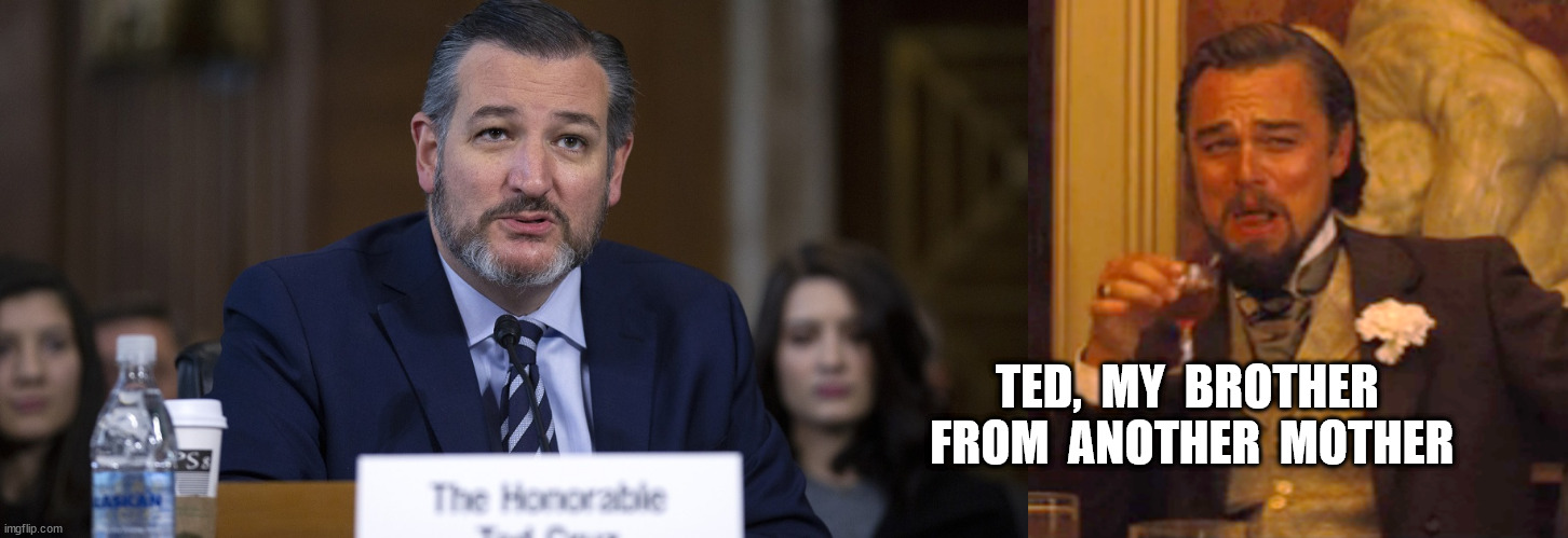 TED,  MY  BROTHER  FROM  ANOTHER  MOTHER | image tagged in memes,laughing leo | made w/ Imgflip meme maker