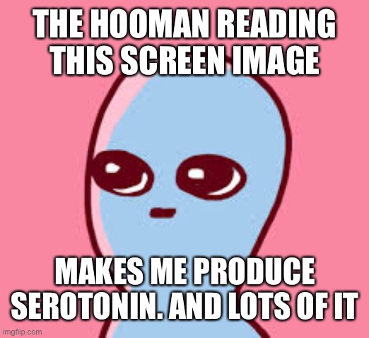 Thank you hooman ?✨❤️ | THE HOOMAN READING THIS SCREEN IMAGE; MAKES ME PRODUCE SEROTONIN. AND LOTS OF IT | image tagged in strange planet,wholesome | made w/ Imgflip meme maker