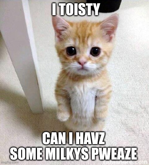 Cute Cat | I TOISTY; CAN I HAVZ SOME MILKYS PWEAZE | image tagged in memes,cute cat | made w/ Imgflip meme maker