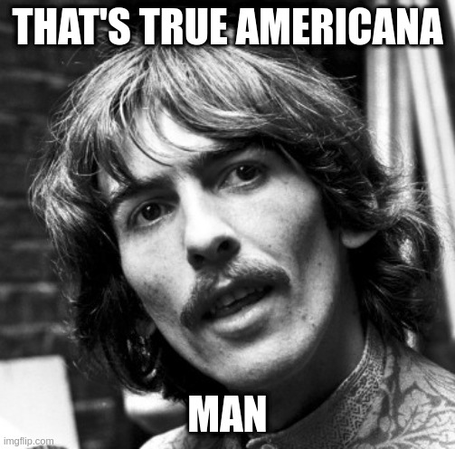 What they say when there is another shooting | THAT'S TRUE AMERICANA MAN | image tagged in hi george | made w/ Imgflip meme maker