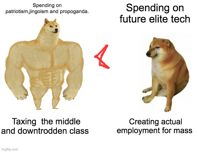 RULING PARTY THESE DAYS | Spending on patriotism,jingoism and propoganda. Spending on future elite tech; Taxing  the middle and downtrodden class; Creating actual employment for mass | image tagged in memes,buff doge vs cheems | made w/ Imgflip meme maker