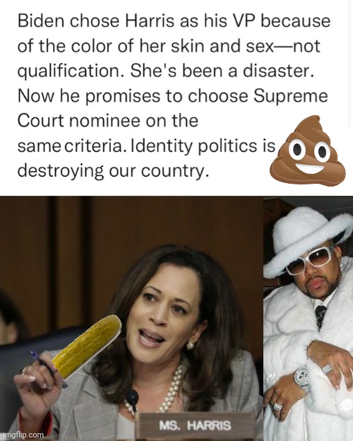 Hobama pick was a disaster | image tagged in kamala harris | made w/ Imgflip meme maker