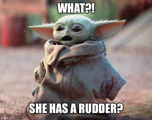 Surprised Baby Yoda | WHAT?! SHE HAS A RUDDER? | image tagged in surprised baby yoda | made w/ Imgflip meme maker