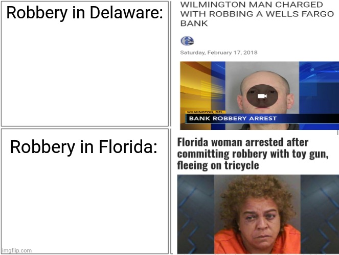 Robbery in Florida and Delaware | Robbery in Delaware:; Robbery in Florida: | image tagged in memes,blank comic panel 2x2,funny,florida man,gifs,not really a gif | made w/ Imgflip meme maker