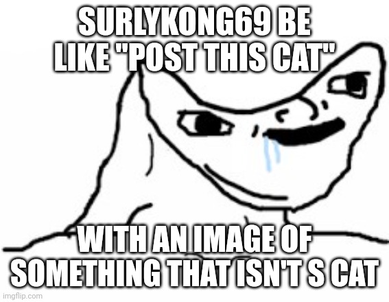 Drooling Brainless Idiot | SURLYKONG69 BE LIKE "POST THIS CAT''; WITH AN IMAGE OF SOMETHING THAT ISN'T S CAT | image tagged in drooling brainless idiot | made w/ Imgflip meme maker