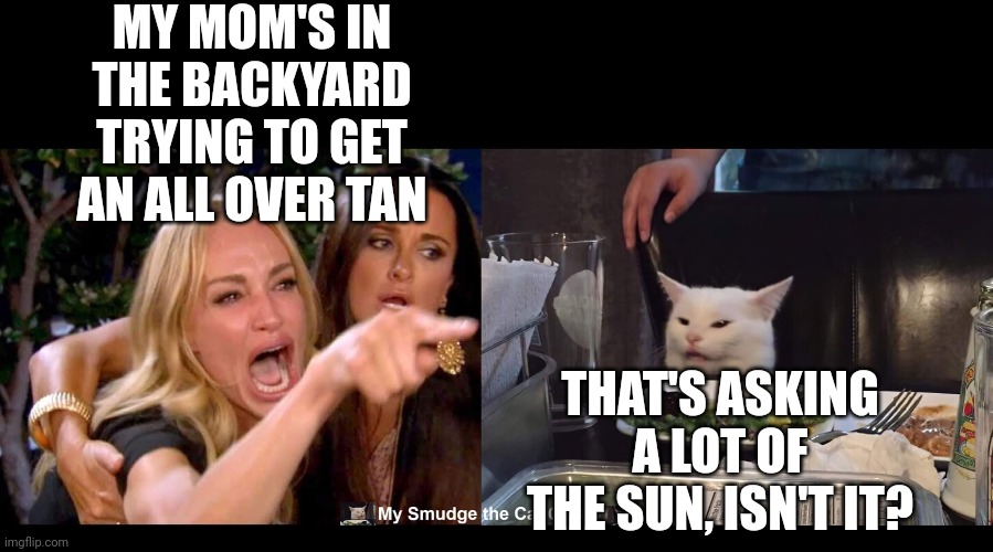 MY MOM'S IN THE BACKYARD TRYING TO GET AN ALL OVER TAN; THAT'S ASKING A LOT OF THE SUN, ISN'T IT? | image tagged in smudge the cat | made w/ Imgflip meme maker