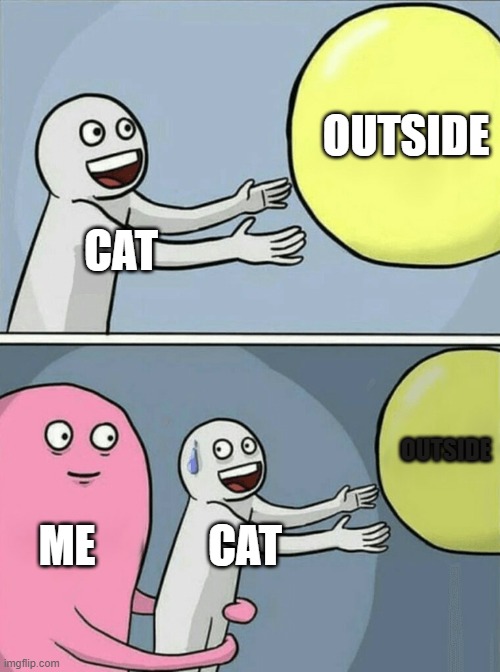 cats | OUTSIDE; CAT; OUTSIDE; ME; CAT | image tagged in memes,running away balloon | made w/ Imgflip meme maker