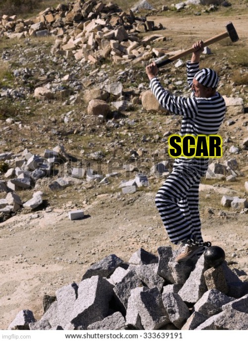 SCAR | made w/ Imgflip meme maker