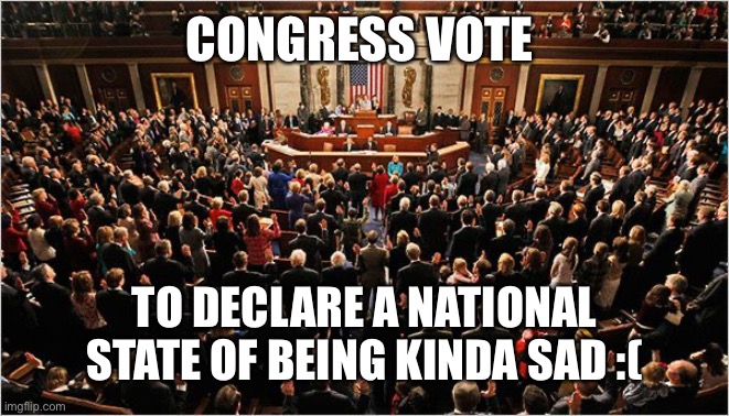 This gives us the power to force you to be happy! :) | CONGRESS VOTE; TO DECLARE A NATIONAL STATE OF BEING KINDA SAD :( | image tagged in congress | made w/ Imgflip meme maker