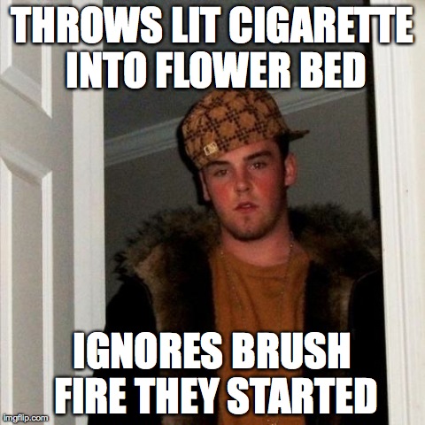Scumbag Steve | THROWS LIT CIGARETTE INTO FLOWER BED IGNORES BRUSH FIRE THEY STARTED | image tagged in memes,scumbag steve | made w/ Imgflip meme maker