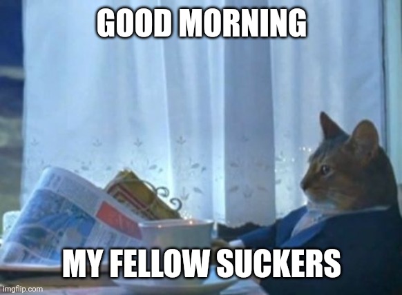 I Should Buy A Boat Cat | GOOD MORNING; MY FELLOW SUCKERS | image tagged in memes,i should buy a boat cat | made w/ Imgflip meme maker