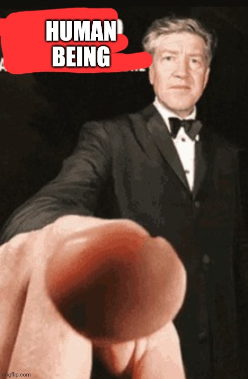 Shut up anime profile picture | HUMAN BEING | image tagged in shut up anime profile picture | made w/ Imgflip meme maker
