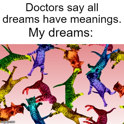 My dreams do be like that tho | Doctors say all dreams have meanings. My dreams: | image tagged in cats,funny memes,cute cat,dreams | made w/ Imgflip meme maker