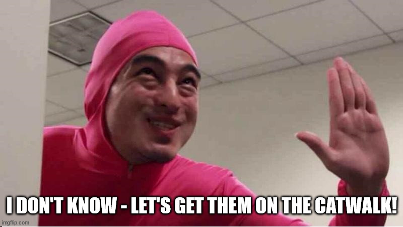 ey boss filthy frank pink guy | I DON'T KNOW - LET'S GET THEM ON THE CATWALK! | image tagged in ey boss filthy frank pink guy | made w/ Imgflip meme maker