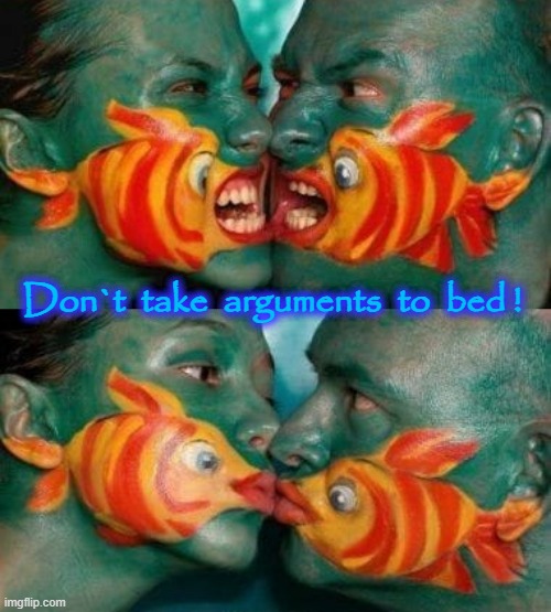 Bedding down ! | Don`t  take  arguments  to  bed ! | image tagged in argument | made w/ Imgflip meme maker