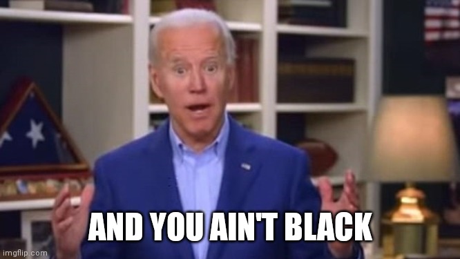 Joe Biden You Ain't Black | AND YOU AIN'T BLACK | image tagged in joe biden you ain't black | made w/ Imgflip meme maker