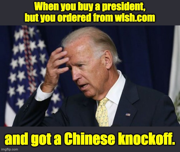 Wish | When you buy a president, but you ordered from wish.com; and got a Chinese knockoff. | image tagged in joe biden worries | made w/ Imgflip meme maker
