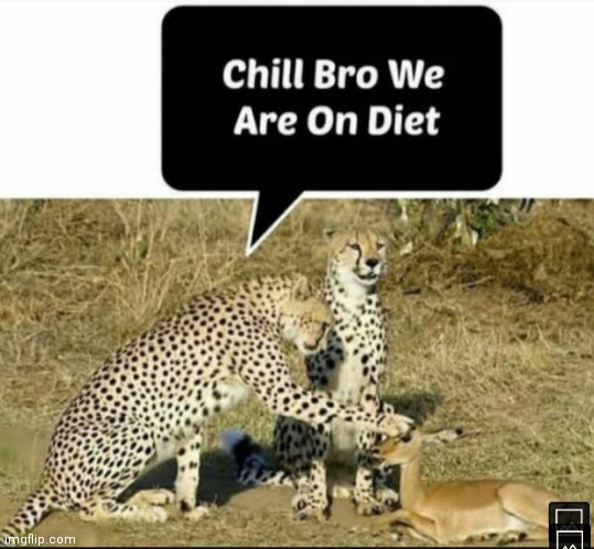 Oh thank you i feel safe now | image tagged in memes,cheetos,diet | made w/ Imgflip meme maker