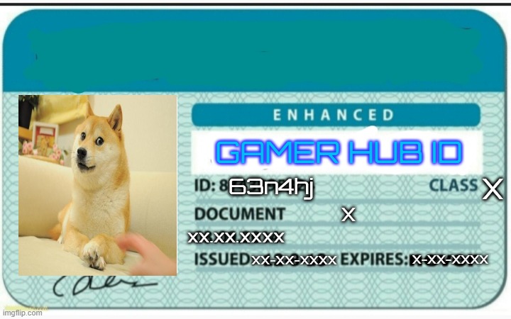 Gamer Hub ID | X; 63n4hj; X; xx.xx.xxxx; X-XX-XXXX; XX-XX-XXXX | image tagged in gamer hub id | made w/ Imgflip meme maker