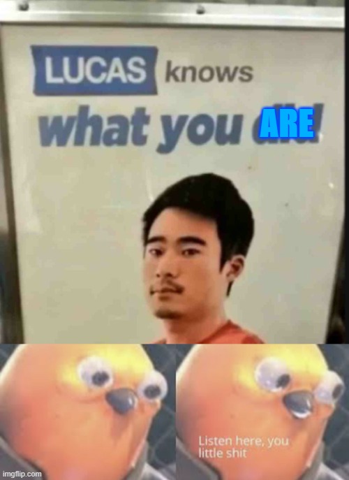 ARE | image tagged in lucas knows what you did,listen here you little shit bird | made w/ Imgflip meme maker