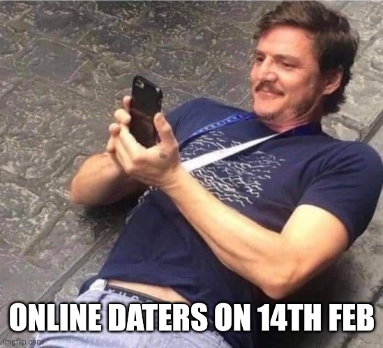 Basically me xD | ONLINE DATERS ON 14TH FEB | image tagged in guy looking on phone | made w/ Imgflip meme maker