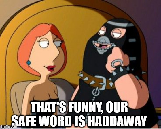 Family Guy bondage | THAT'S FUNNY, OUR SAFE WORD IS HADDAWAY | image tagged in family guy bondage | made w/ Imgflip meme maker