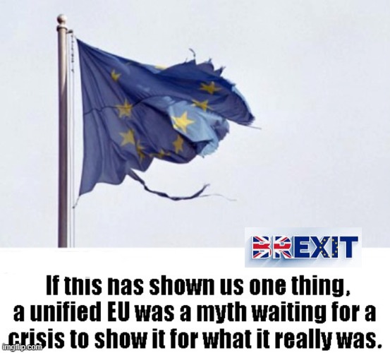 EU in crisis ! | image tagged in brexit | made w/ Imgflip meme maker