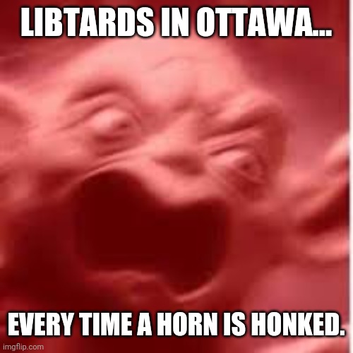 They're going bananas. | LIBTARDS IN OTTAWA... EVERY TIME A HORN IS HONKED. | image tagged in yoda getting triggered | made w/ Imgflip meme maker