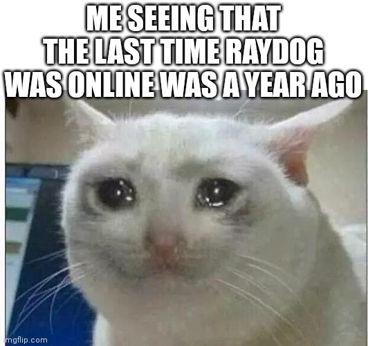 :( | ME SEEING THAT THE LAST TIME RAYDOG WAS ONLINE WAS A YEAR AGO | image tagged in crying cat,sad,raydog | made w/ Imgflip meme maker