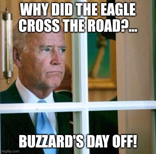 Since this clown is not my President HAPPY EARLY BUZZARD'S DAY! | WHY DID THE EAGLE CROSS THE ROAD?... BUZZARD'S DAY OFF! | image tagged in sad joe biden,vulture,presidents,day off | made w/ Imgflip meme maker