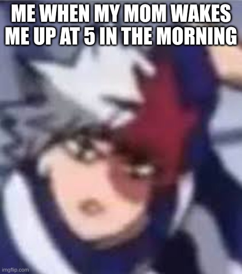 Low resolution todoroki | ME WHEN MY MOM WAKES ME UP AT 5 IN THE MORNING | image tagged in low resolution todoroki,moms,memes,funny,oh wow are you actually reading these tags | made w/ Imgflip meme maker