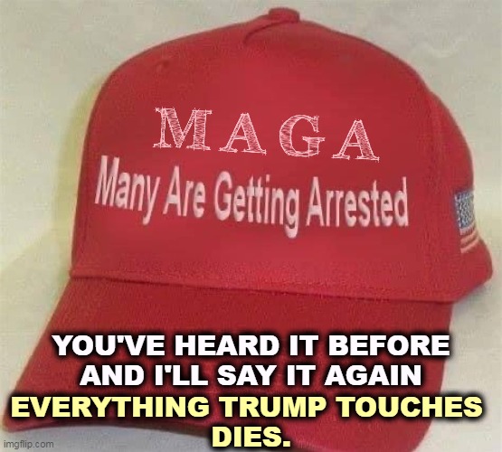 Trump has the Midas touch in reverse. Everything he touches turns to sh*t. | YOU'VE HEARD IT BEFORE AND I'LL SAY IT AGAIN; EVERYTHING TRUMP TOUCHES 
DIES. | image tagged in trump,maga,fans,arrested | made w/ Imgflip meme maker