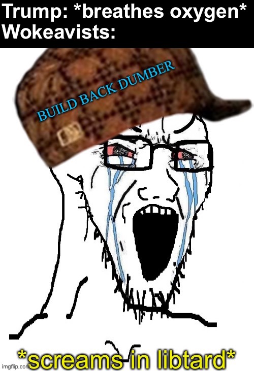 screams in libtard | Trump: *breathes oxygen*
Wokeavists: | image tagged in screams in libtard,funny memes,libtard,oh wow are you actually reading these tags | made w/ Imgflip meme maker