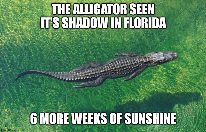 Groundhog Day in Florida |  THE ALLIGATOR SEEN IT'S SHADOW IN FLORIDA; 6 MORE WEEKS OF SUNSHINE | image tagged in groundhog day | made w/ Imgflip meme maker