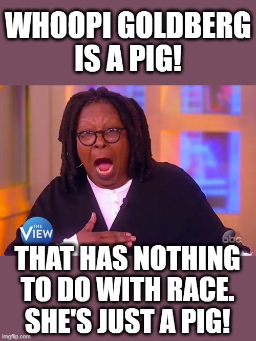 Suspended for two weeks?  Why wasn't she fired?! | WHOOPI GOLDBERG
IS A PIG! THAT HAS NOTHING TO DO WITH RACE.
SHE'S JUST A PIG! | image tagged in memes,whoopi goldberg,pig,liberals,democrats,nothing to do with race | made w/ Imgflip meme maker