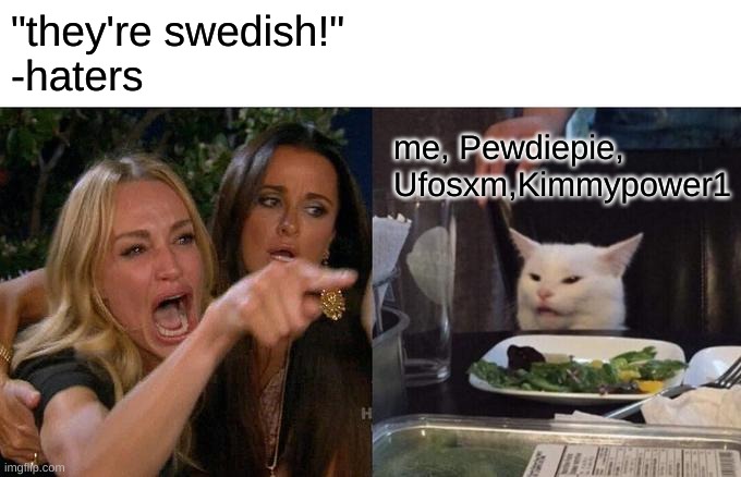 S a d | "they're swedish!" 
-haters; me, Pewdiepie, Ufosxm,Kimmypower1 | image tagged in memes,woman yelling at cat | made w/ Imgflip meme maker