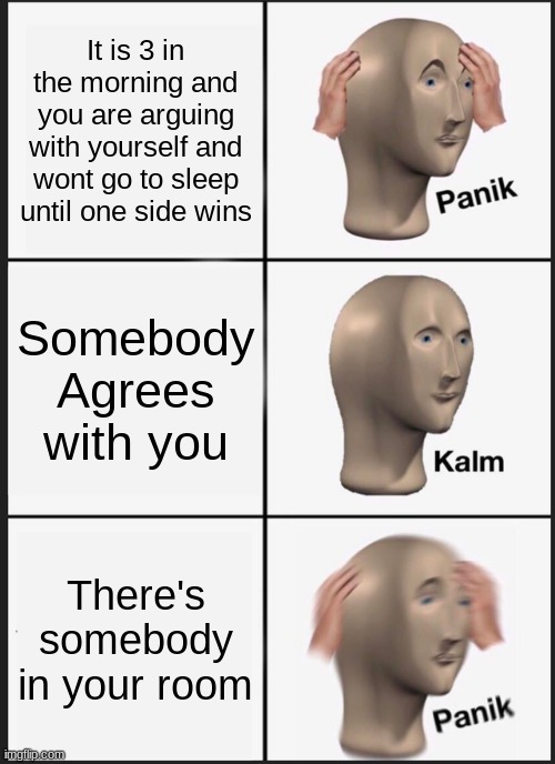 Your Late Night Conversations With Yourself | It is 3 in the morning and you are arguing with yourself and wont go to sleep until one side wins; Somebody Agrees with you; There's somebody in your room | image tagged in memes,panik kalm panik | made w/ Imgflip meme maker