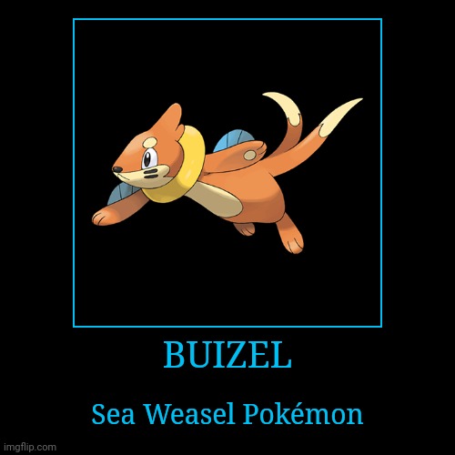 Buizel | BUIZEL | Sea Weasel Pokémon | image tagged in demotivationals,pokemon,buizel | made w/ Imgflip demotivational maker