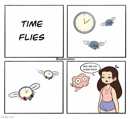 idk | image tagged in memes,funny,msmg | made w/ Imgflip meme maker