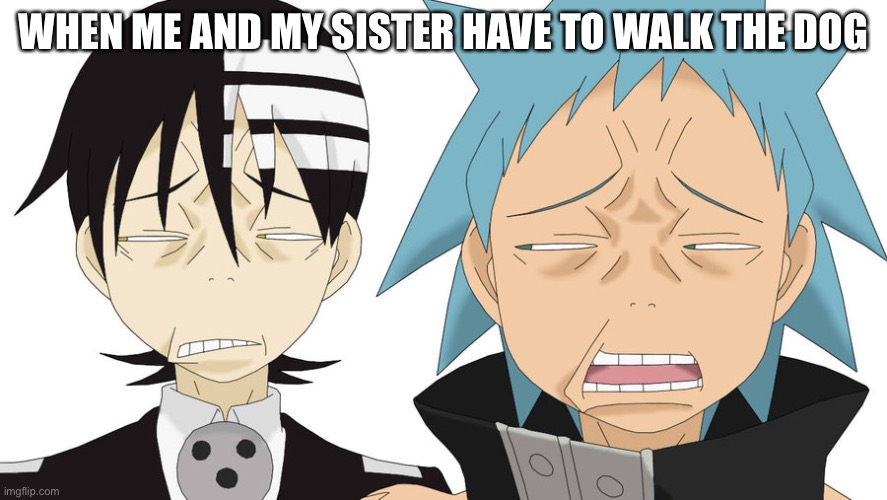 Soul Eater Face | WHEN ME AND MY SISTER HAVE TO WALK THE DOG | image tagged in soul eater face | made w/ Imgflip meme maker