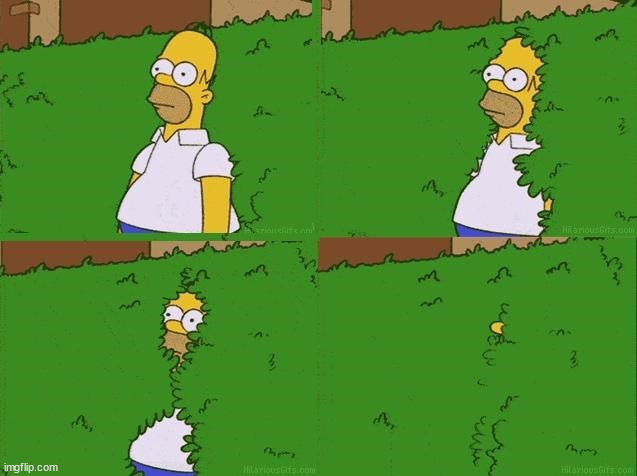 Homer Hedge | image tagged in homer hedge | made w/ Imgflip meme maker