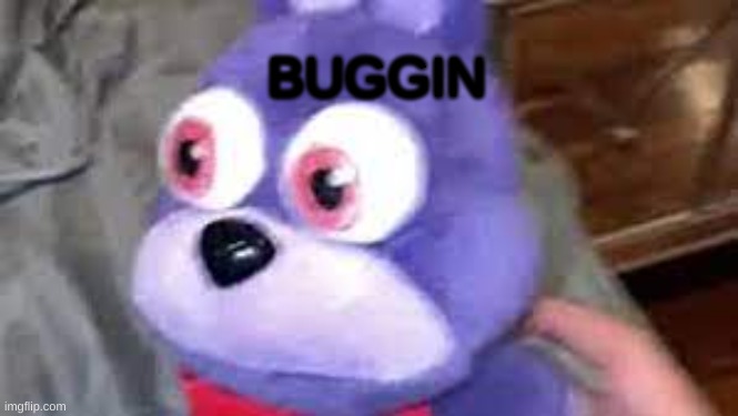 He Buggin- |  BUGGIN | image tagged in fnaf,crazy eyes,funny memes,front page plz,upvote if you agree | made w/ Imgflip meme maker