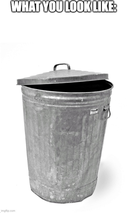Trash Can | WHAT YOU LOOK LIKE: | image tagged in trash can | made w/ Imgflip meme maker