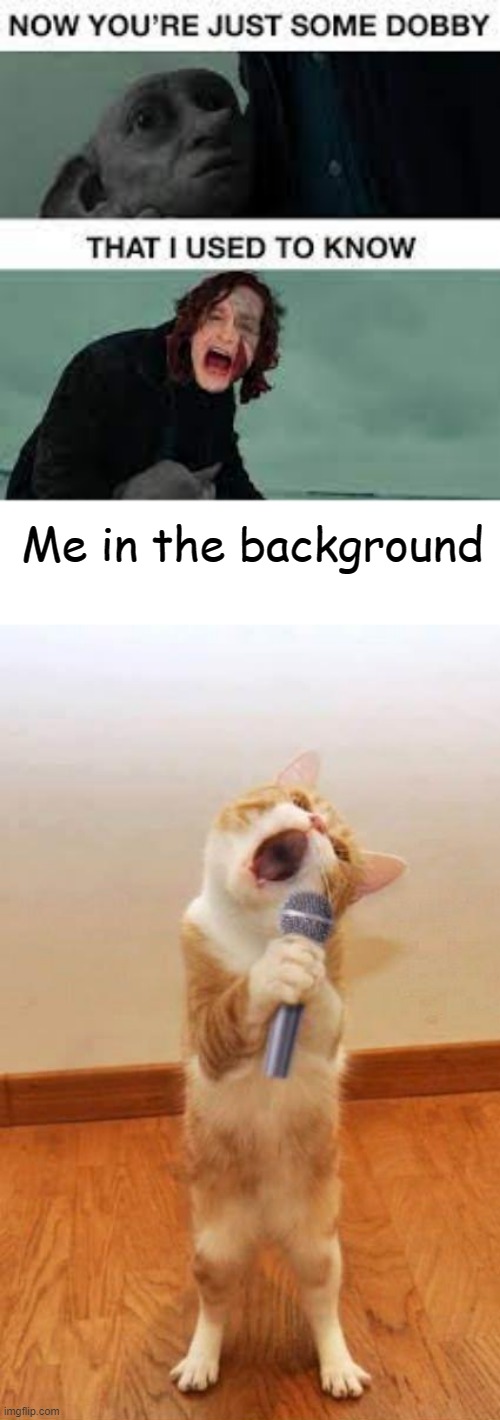*cries while singing* | Me in the background | image tagged in cat singer | made w/ Imgflip meme maker