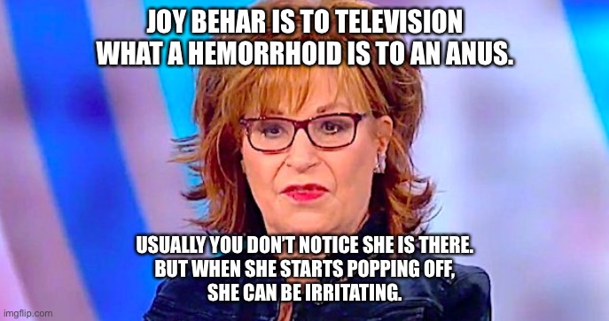 Joy Behar is a pain in the ass | JOY BEHAR IS TO TELEVISION
WHAT A HEMORRHOID IS TO AN ANUS. USUALLY YOU DON’T NOTICE SHE IS THERE.
BUT WHEN SHE STARTS POPPING OFF,
SHE CAN BE IRRITATING. | image tagged in joy behar is ugly,memes,liberal logic,the view,crazy,hemorrhoids | made w/ Imgflip meme maker