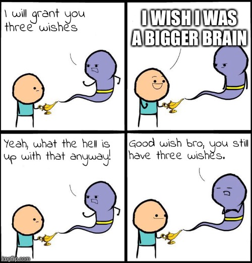 Ok | I WISH I WAS A BIGGER BRAIN | image tagged in 3 wishes | made w/ Imgflip meme maker