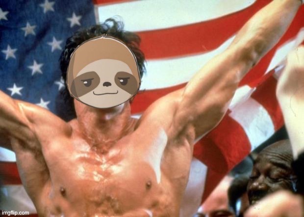 Rocky sloth | image tagged in rocky sloth | made w/ Imgflip meme maker