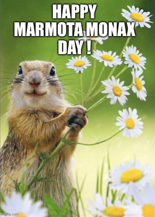 image tagged in groundhog day,happy groundhog day,happy day,marmota monax,marmota monax day,holiday | made w/ Imgflip meme maker