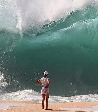 que fluya Blank Meme Template